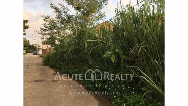 ายที่ดินเปล่าถมแล้ว-อเมือง-จเชียงใหม่-ขนาด-997-ตรว-ทำเลดี-ใกล้บิ้กซีแม่เหียะและถนนหลัก