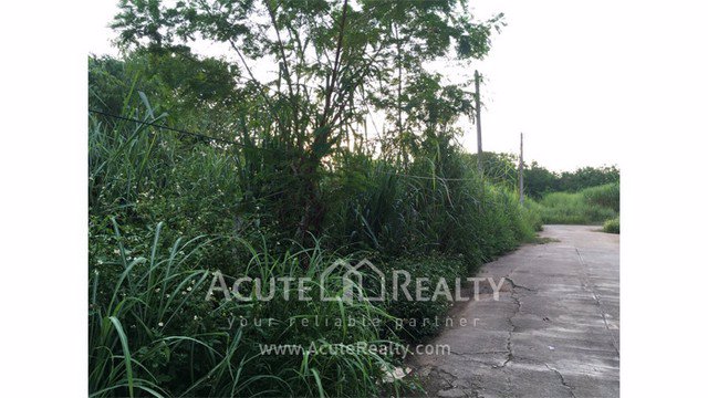 ายที่ดินเปล่าถมแล้ว-อเมือง-จเชียงใหม่-ขนาด-997-ตรว-ทำเลดี-ใกล้บิ้กซีแม่เหียะและถนนหลัก