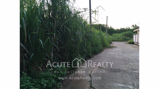 ายที่ดินเปล่าถมแล้ว-อเมือง-จเชียงใหม่-ขนาด-997-ตรว-ทำเลดี-ใกล้บิ้กซีแม่เหียะและถนนหลัก