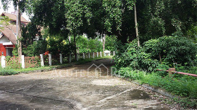 ขายบ้าน-ตป่าปอง-อดอยสะเก็ด-จเชียงใหม่-ขนาด-373-ตรว-3-ชั้น-5-นอน-4-น้ำ-ใกล้วัดพระธาตุดอยสะเก็ด