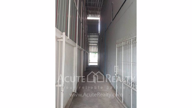 ขายอาคารพาณิชย์-อเมือง-จเชียงใหม่-ขนาด-4950-ตรว-4-ชั้น-แปลงมุม-ใกล้เซ็นทรัลเฟสติวัล