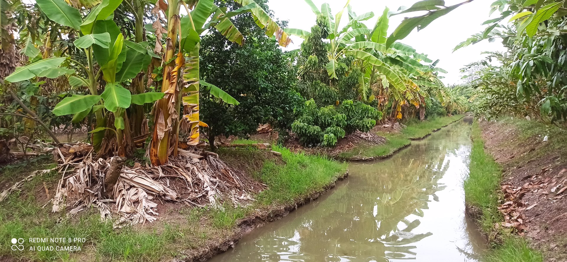 แบ่งขายที่ดิน-5-ไร่-ไทรน้อย-นนทบุรี-ติดคลอง-ติดถนน