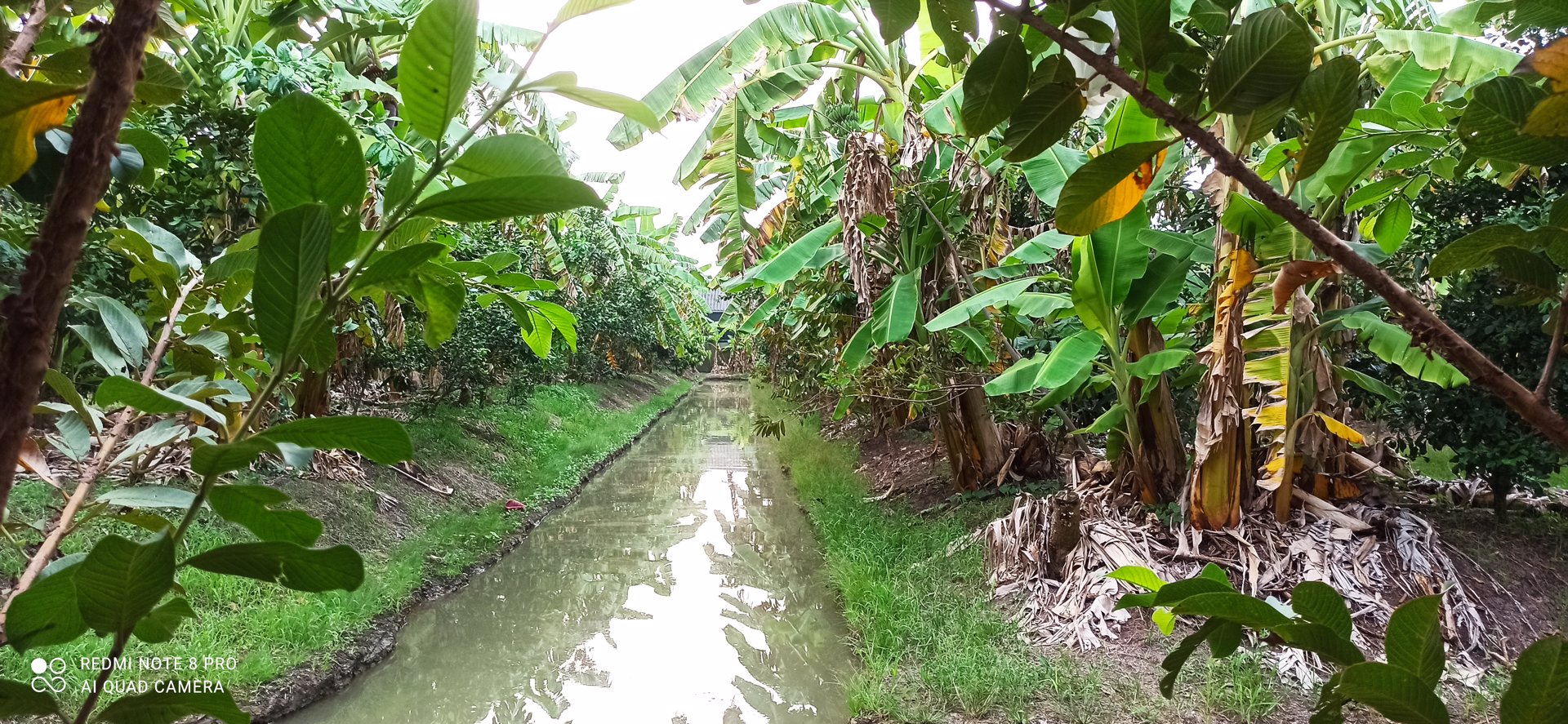 แบ่งขายที่ดิน-5-ไร่-ไทรน้อย-นนทบุรี-ติดคลอง-ติดถนน