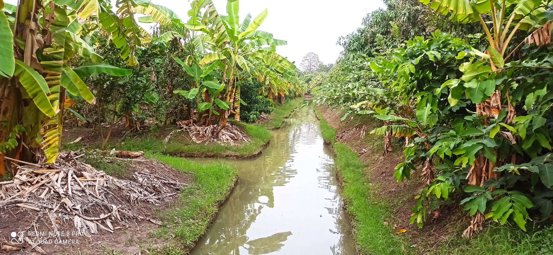 แบ่งขายที่ดิน-5-ไร่-ไทรน้อย-นนทบุรี-ติดคลอง-ติดถนน