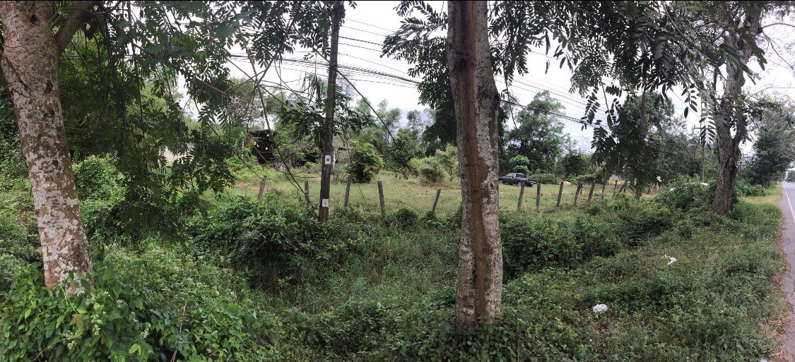 ขาย-เช่าระยะยาว-ที่ดิน-1-ไร่-2-งาน-20-ตรวา-ถมแล้ว-อไชยา-จสุราษฎร์ธานี