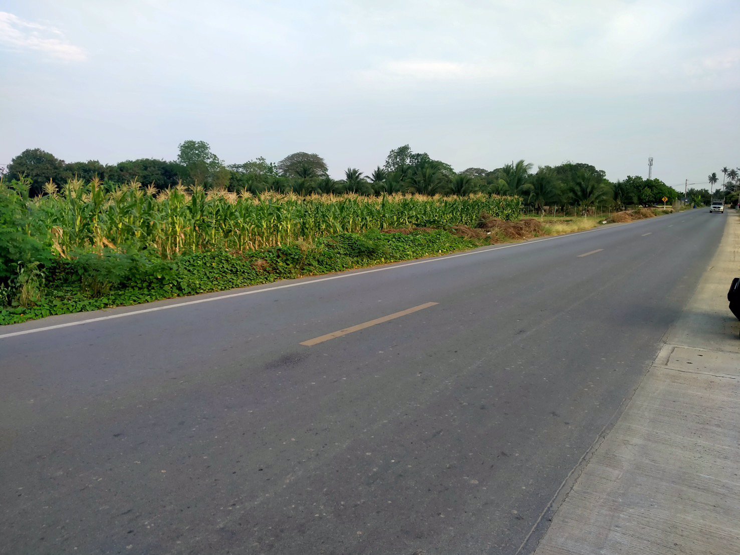 ท่านใดกำลังมองหาที่ดินสวยๆ-ทำเลดี-ใกล้ถนนมอเตอร์เวย์บางใหญ่-กาญจนบุรี