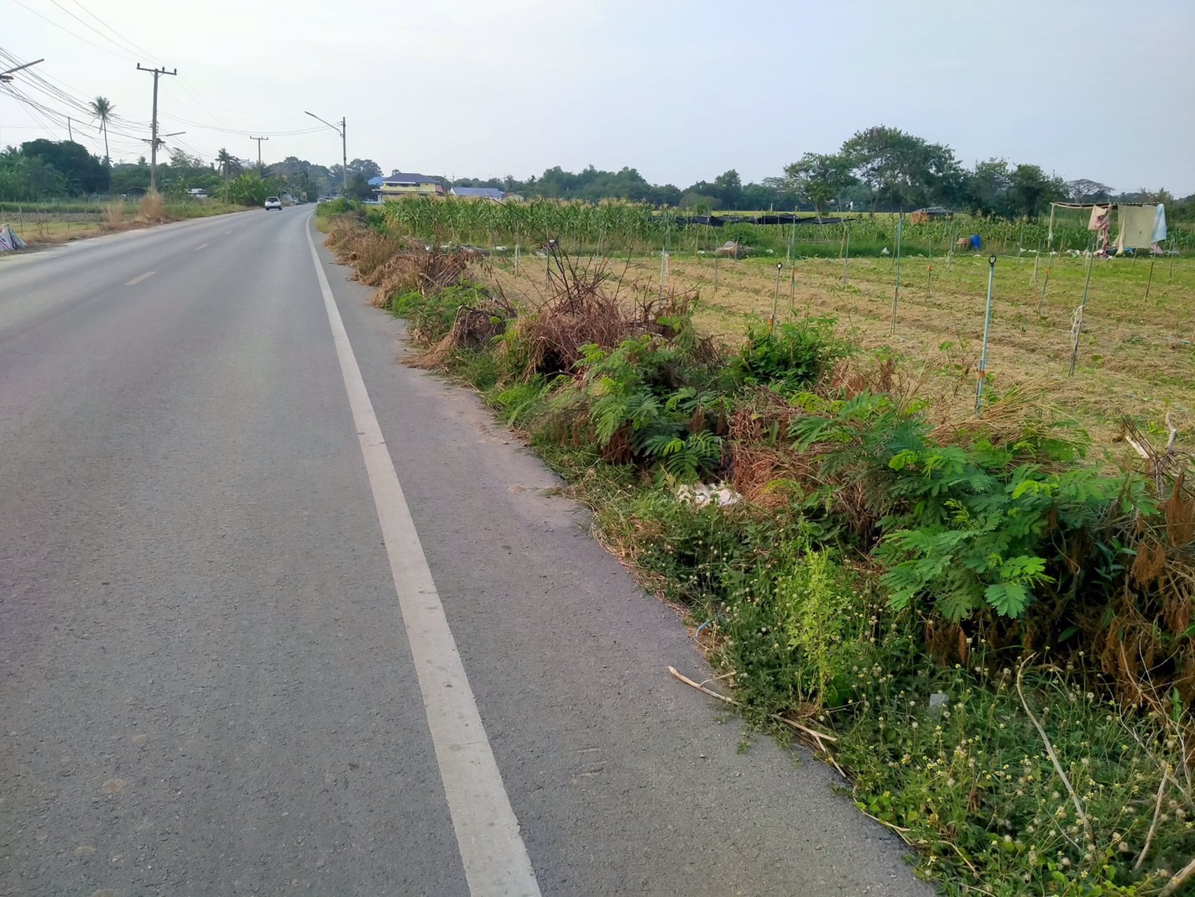 ท่านใดกำลังมองหาที่ดินสวยๆ-ทำเลดี-ใกล้ถนนมอเตอร์เวย์บางใหญ่-กาญจนบุรี