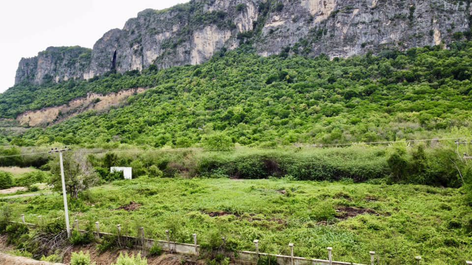 ขายด่วน-ที่ดินแปลงสวย-ติดเขานางพันธุรัตน์-ชะอำ