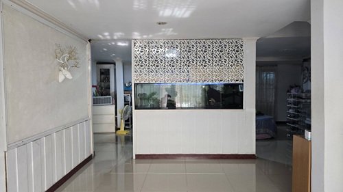 ขาย-บ้านเดี่ยว-หลังมุม-เนื้อที่-61-ตรว-ซอยสมเด็จพระปิ่นเกล้า-17-ฝั่งตรงข้ามพาต้า-ปิ่นเกล้า-