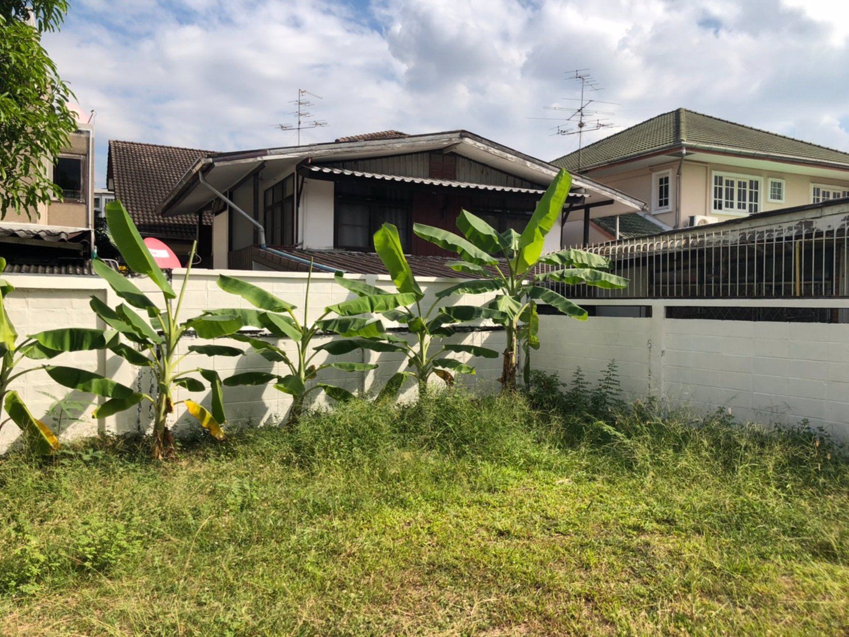 เช่าบ้านเดี่ยวนนทบุรี-ใกล้-mrt-กระทรวงสาธารณสุข250-ม-โฮมออฟฟิส-203-ตรว-จอดรถ-6-คัน