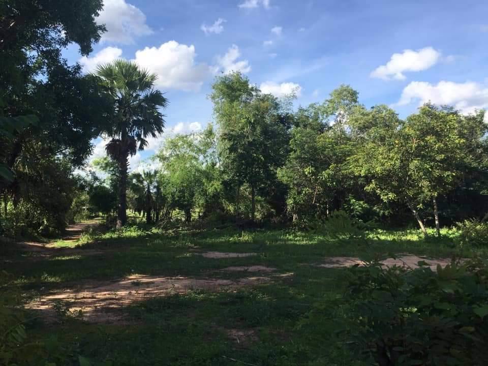 ขายที่ดิน-4ไร่-3งาน-28-ตรว