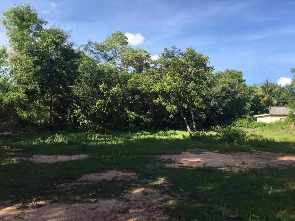 ขายที่ดิน-4ไร่-3งาน-28-ตรว