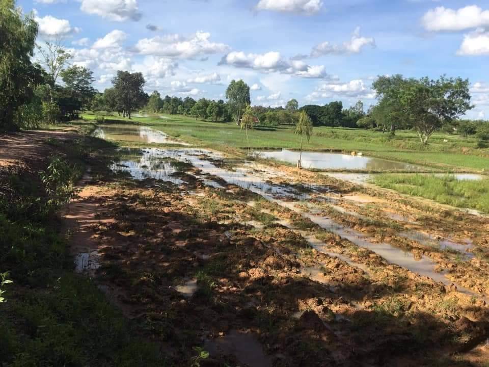 ขายที่ดิน-4ไร่-3งาน-28-ตรว