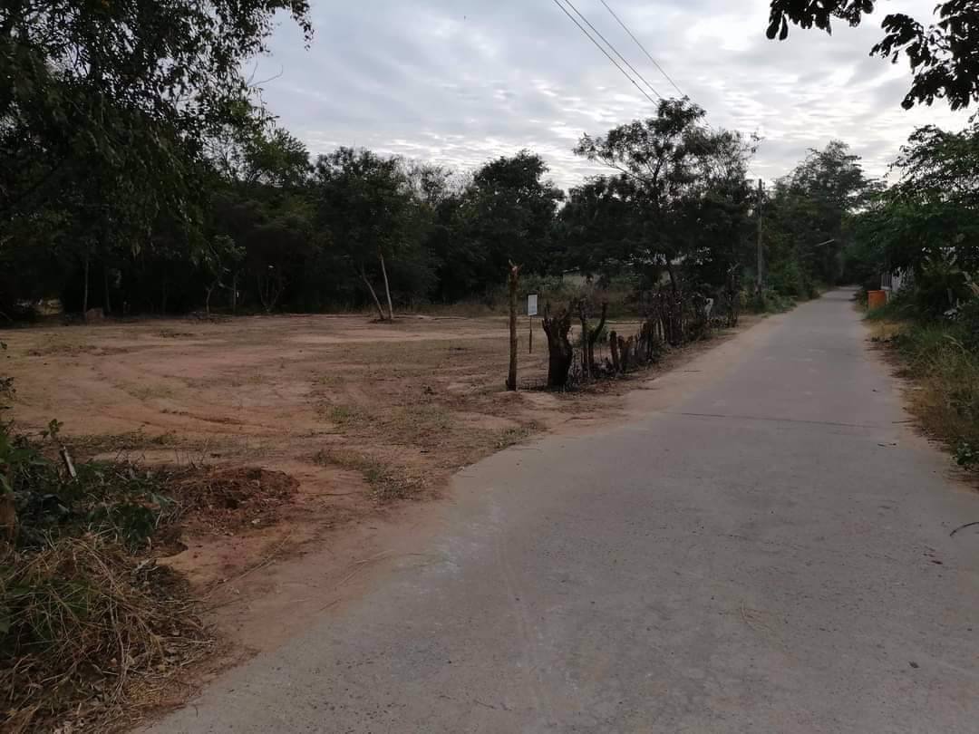 ขายที่ดิน-4ไร่-3งาน-28-ตรว