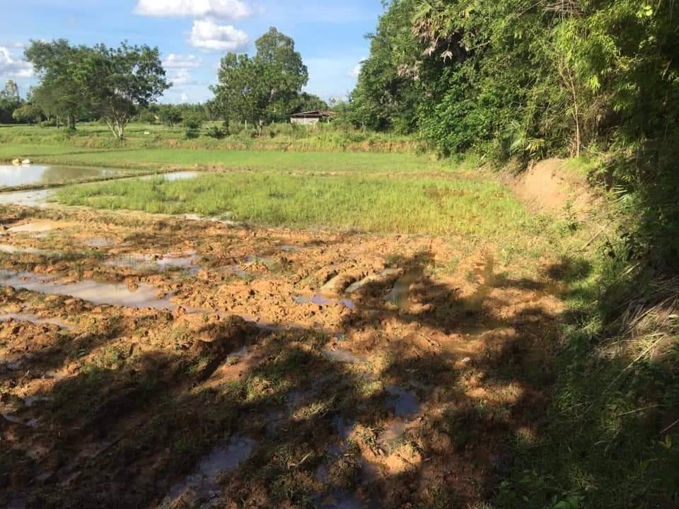 ขายที่ดิน-4ไร่-3งาน-28-ตรว