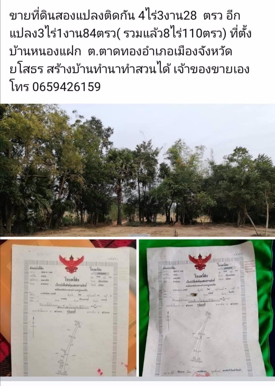 ขายที่ดิน-4ไร่-3งาน-28-ตรว