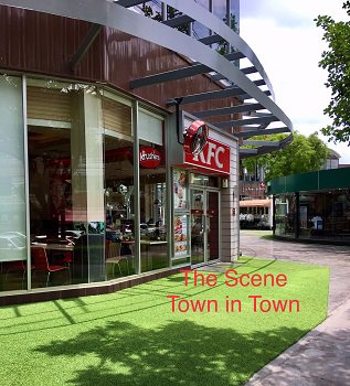 ขายบ้านเดี่ยว-2-ชั้น-เนื้อที่-56-ตารางวา-หมู่บ้านไทยศิริเหนือ-ทาวน์อินทาวน์-สุดยอดทำเล-สะดวกสบาย