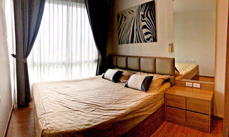 คอนโด-ให้เช่าคอนโด-the-base-sukhumvit-77-เดอะ-เบส-สุขุมวิท-77-วิวสระน้ำ-31-ตรม-b101350