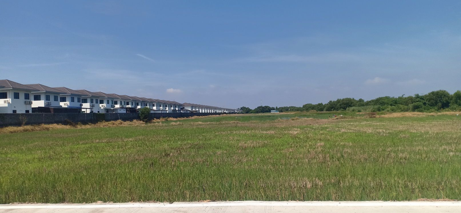 ขายที่ดิน-27-ไร่-ติดถนนสองด้าน-ถนนเลียบคลองสอง-ฝั่งถนนใหญ่-อคลองหลวง-จปทุมธานี