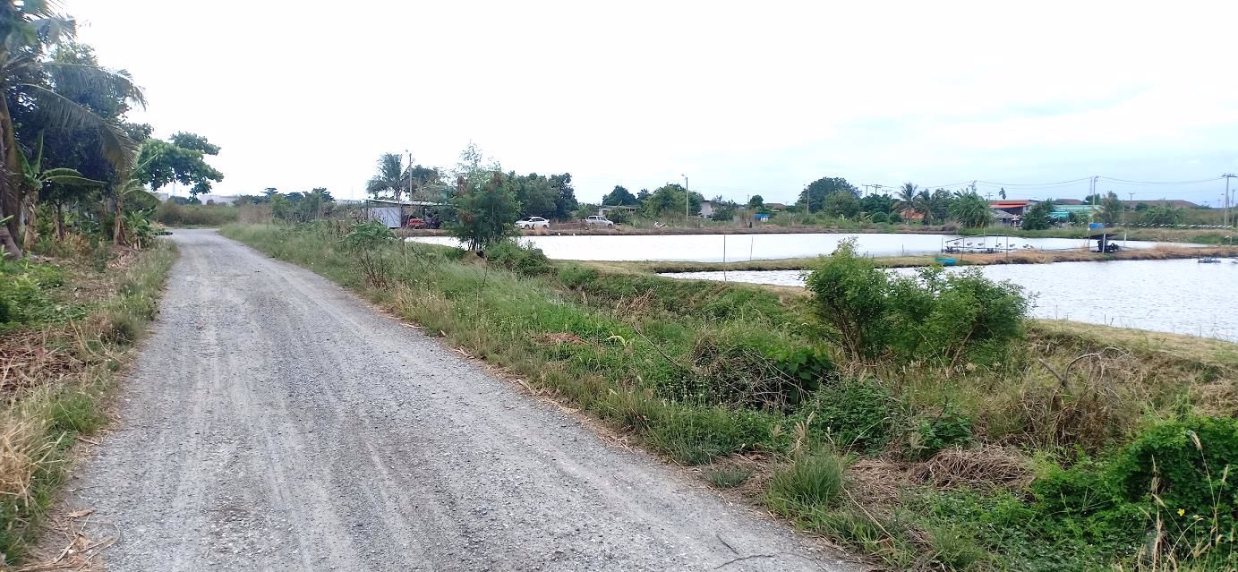 ขายที่ดิน-21-ไร่-ใกล้โรงเรียนบางบ่อวิทยา-ถนนบางนา-ตราด-กม29-อบางบ่อ-จสมุทรปราการ