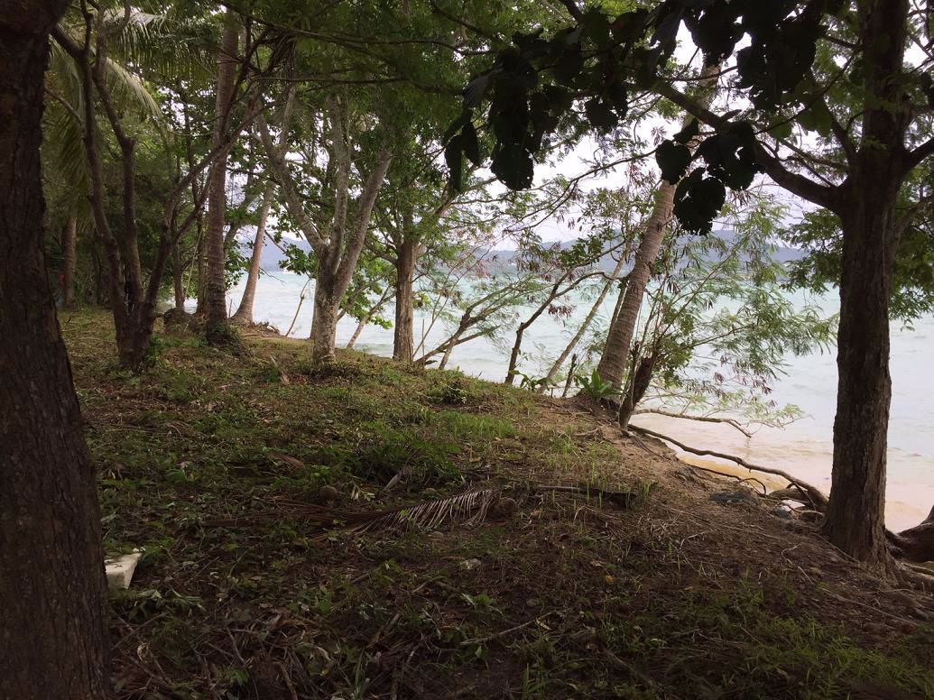 ขายที่ดิน-12-ไร่-เกาะโหลน-ติดชายหาด-ตราไวย์-จภูเก็ต