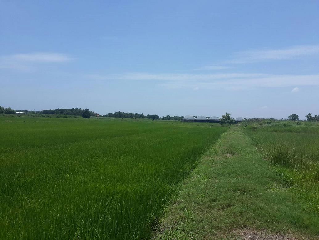 ขายที่ดิน-6-ไร่-ถนนเลียบวารี-ซอย59-เขตหนองจอก-กรุงเทพฯ