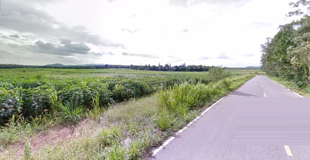 ขายที่ดิน-38-ไร่-ใก้ล้ถนน-344-ใกล้การไฟฟ้าหนองใหญ่-ตห้างสูง-อหนองใหญ่-จชลบุรี