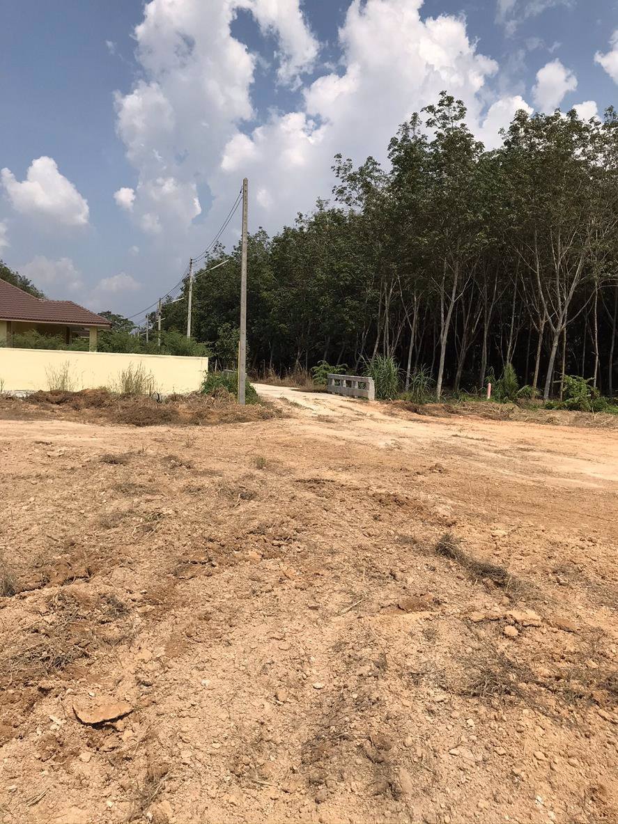 ขายที่ดิน-7-ไร่-ถนนสายชลบุรี-ระยอง-ทางหลวงหมายเลข36-ถมแล้ว-อนิคมพัฒนา-จระยอง