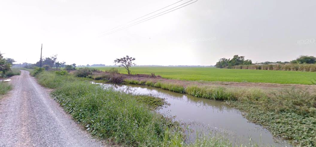 ขายที่ดิน-54-ไร่-ติดหมู่บ้านเคซีกรีนวิลล์-ถนนมิตรไมตรี-เขตหนองจอก-กรุงเทพฯ