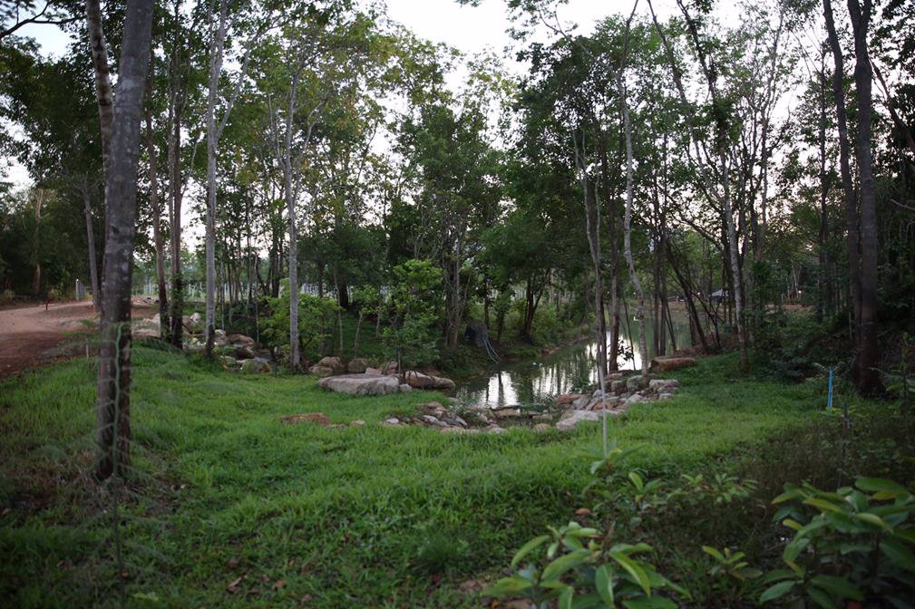 ขายที่ดิน-38-ไร่-ติดเขาใหญ่-ติดน้ำ-พร้อมสวนป่าไม้เศรฐกิจ-อเมือง-จปราจีนบุรี