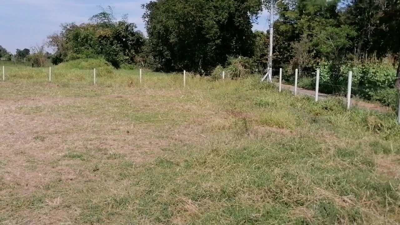 ขายที่ดินเปล่านครราชสีมา