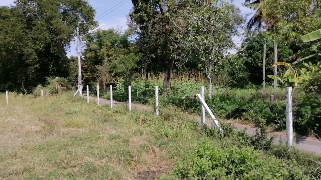 ขายที่ดินเปล่านครราชสีมา