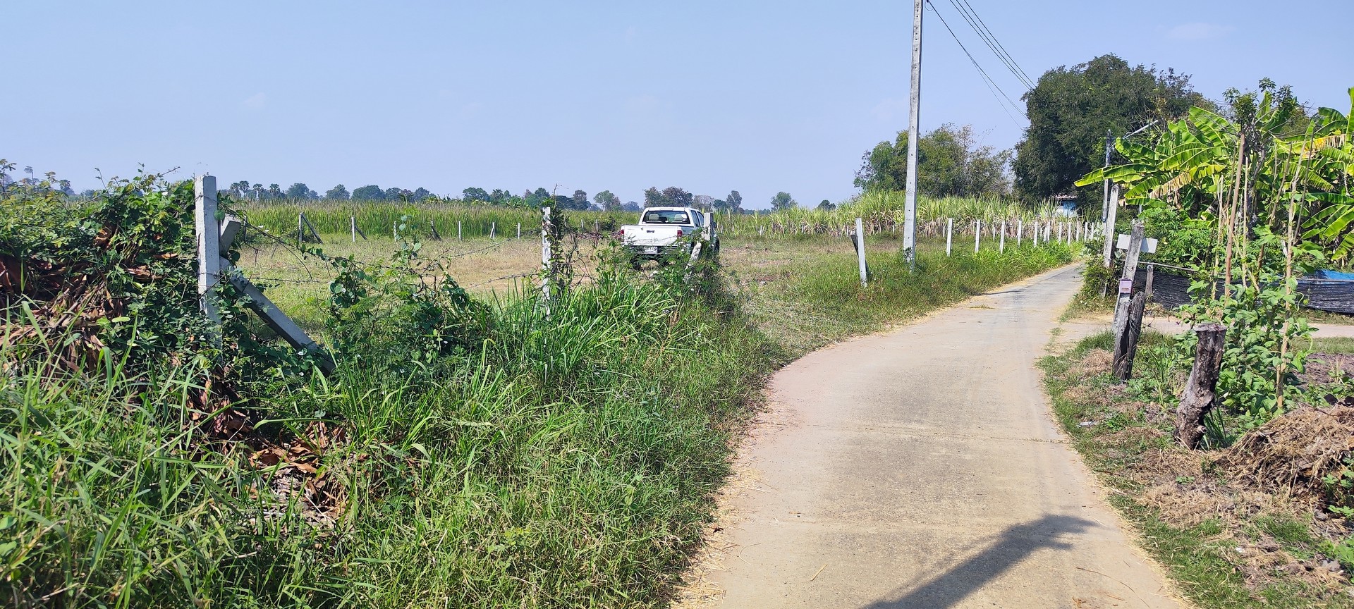 ขายที่ดินเปล่านครราชสีมา