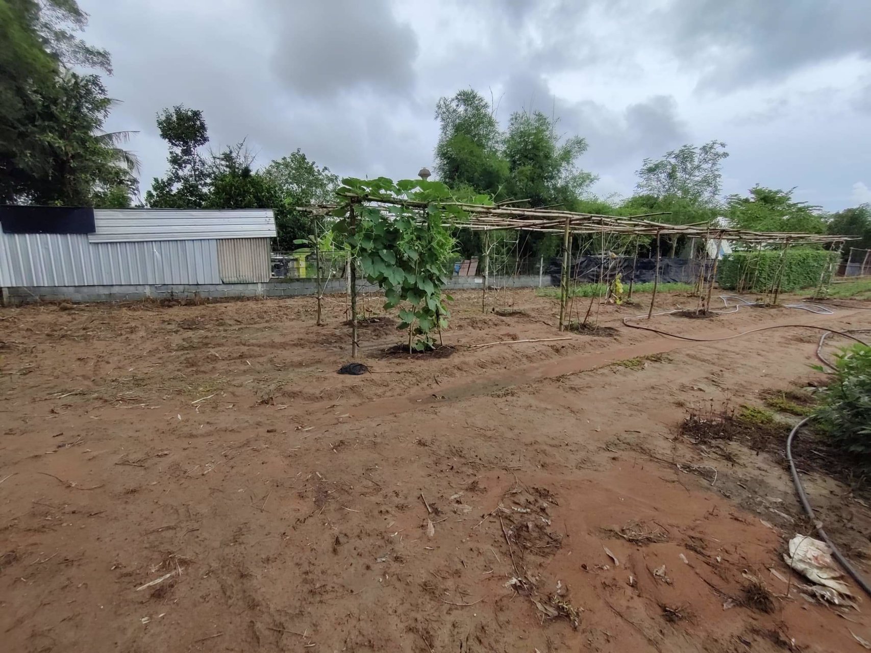 ขายที่ดิน-2-งาน-ราคาขาย-15-ล้าน-ใกล้สวนนงนุชพัทยา