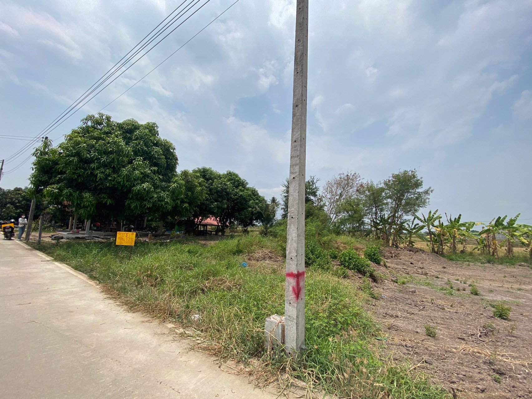 ขายที่ดินใกล้ตลาดน้ำวัดลำพญา