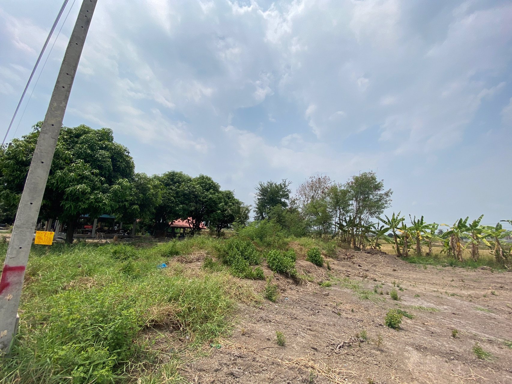 ขายที่ดินใกล้ตลาดน้ำวัดลำพญา