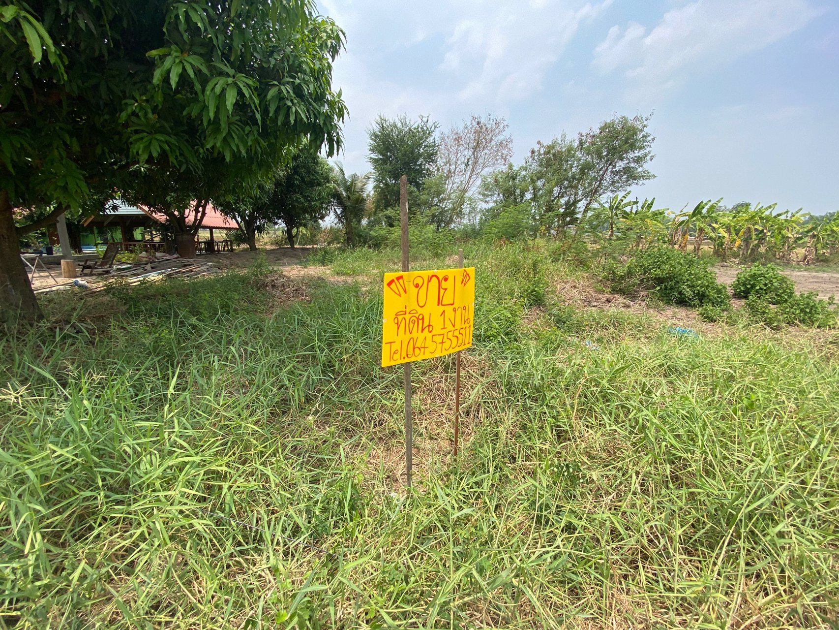 ขายที่ดินใกล้ตลาดน้ำวัดลำพญา