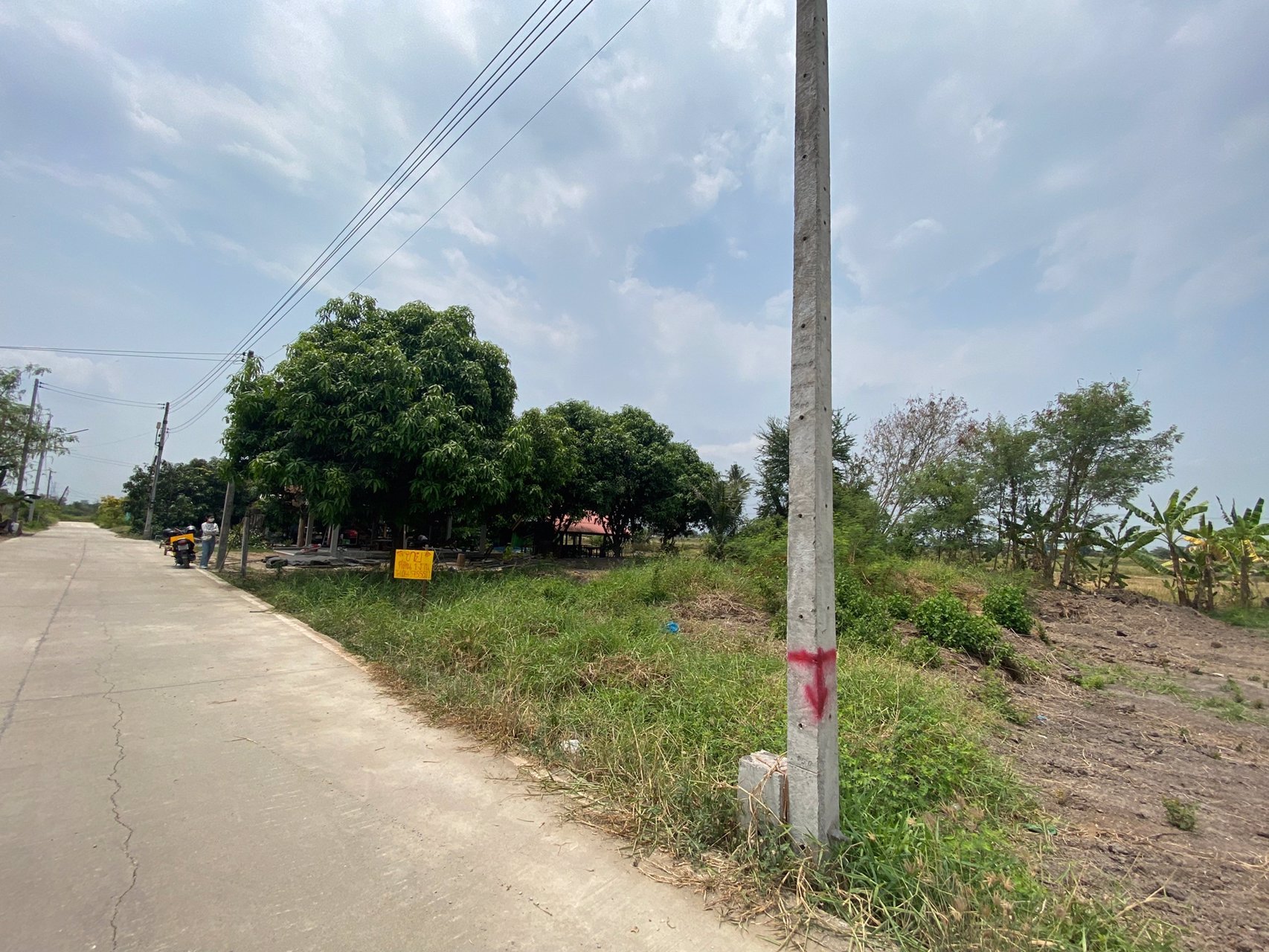 ขายที่ดินใกล้ตลาดน้ำวัดลำพญา