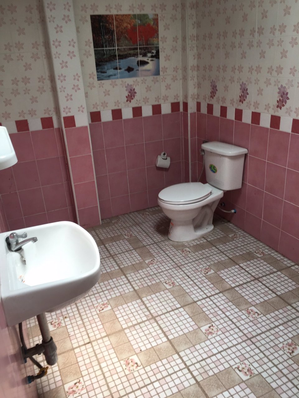 ขายด่วน-ทาวน์โฮม-หมู่บ้านสำเร็จวิว6-พื้นที่-33-ตรว-บ้านหัวมุมค่า