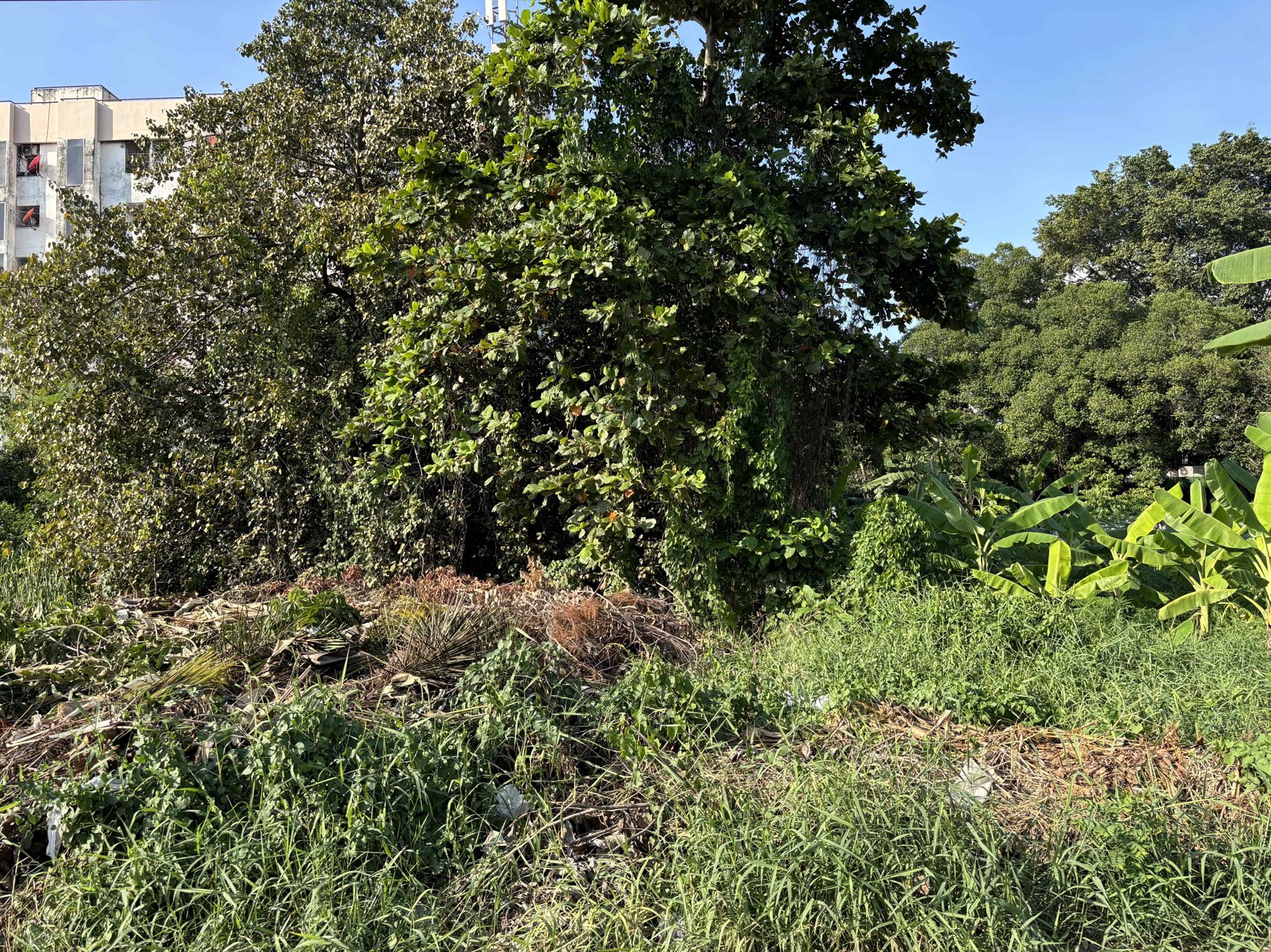 ขายที่ดินเปล่ารูปแปลงสี่เหลี่ยม-219-ตรว-ซอยรามอินทรา-61