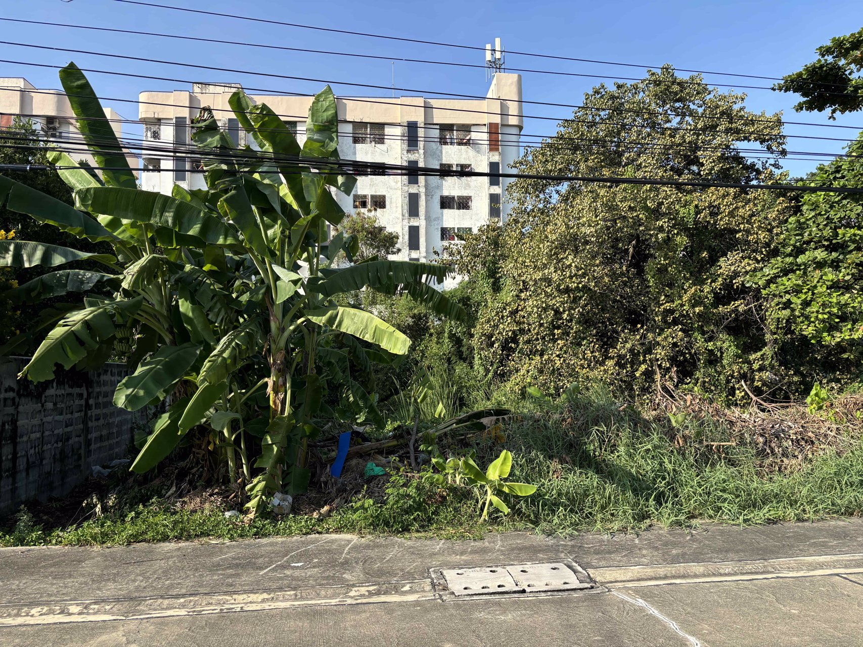 ขายที่ดินเปล่ารูปแปลงสี่เหลี่ยม-219-ตรว-ซอยรามอินทรา-61