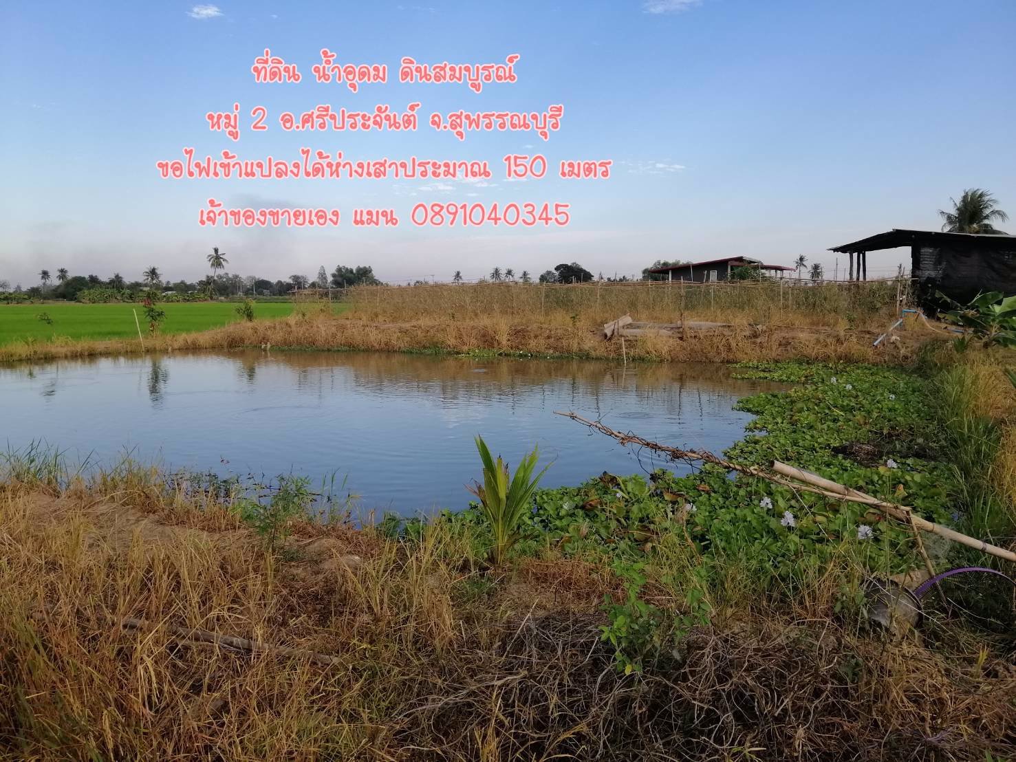 ขายที่ดินราคาถูก-5-ไร่-35-ตรว-ผสมผสานนา-ไร่-สวน-