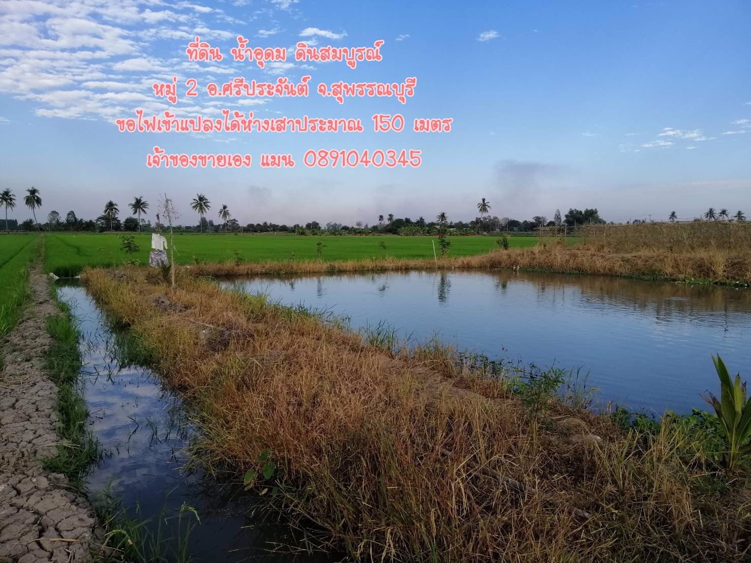 ขายที่ดินราคาถูก-5-ไร่-35-ตรว-ผสมผสานนา-ไร่-สวน-