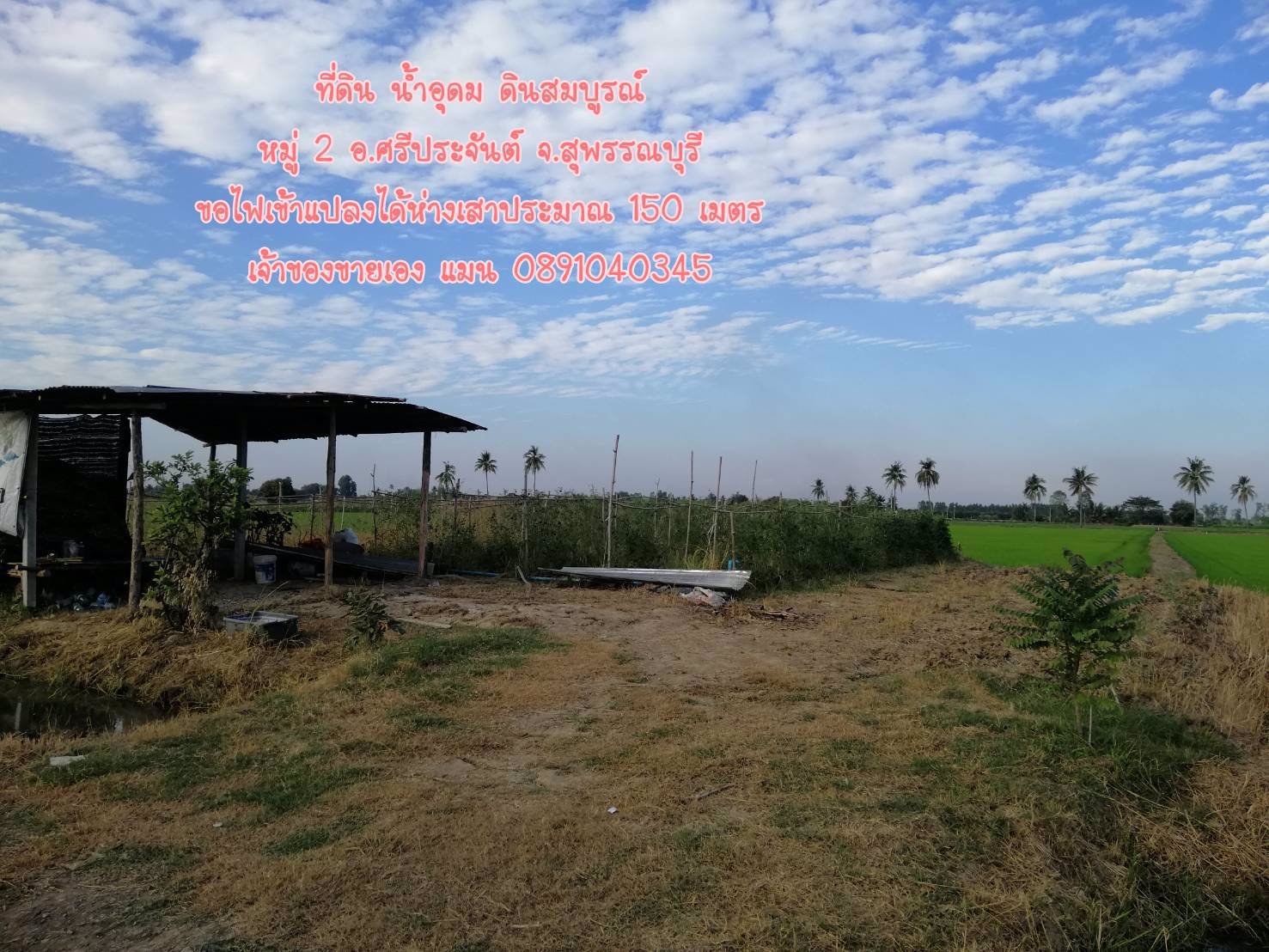 ขายที่ดินราคาถูก-5-ไร่-35-ตรว-ผสมผสานนา-ไร่-สวน-