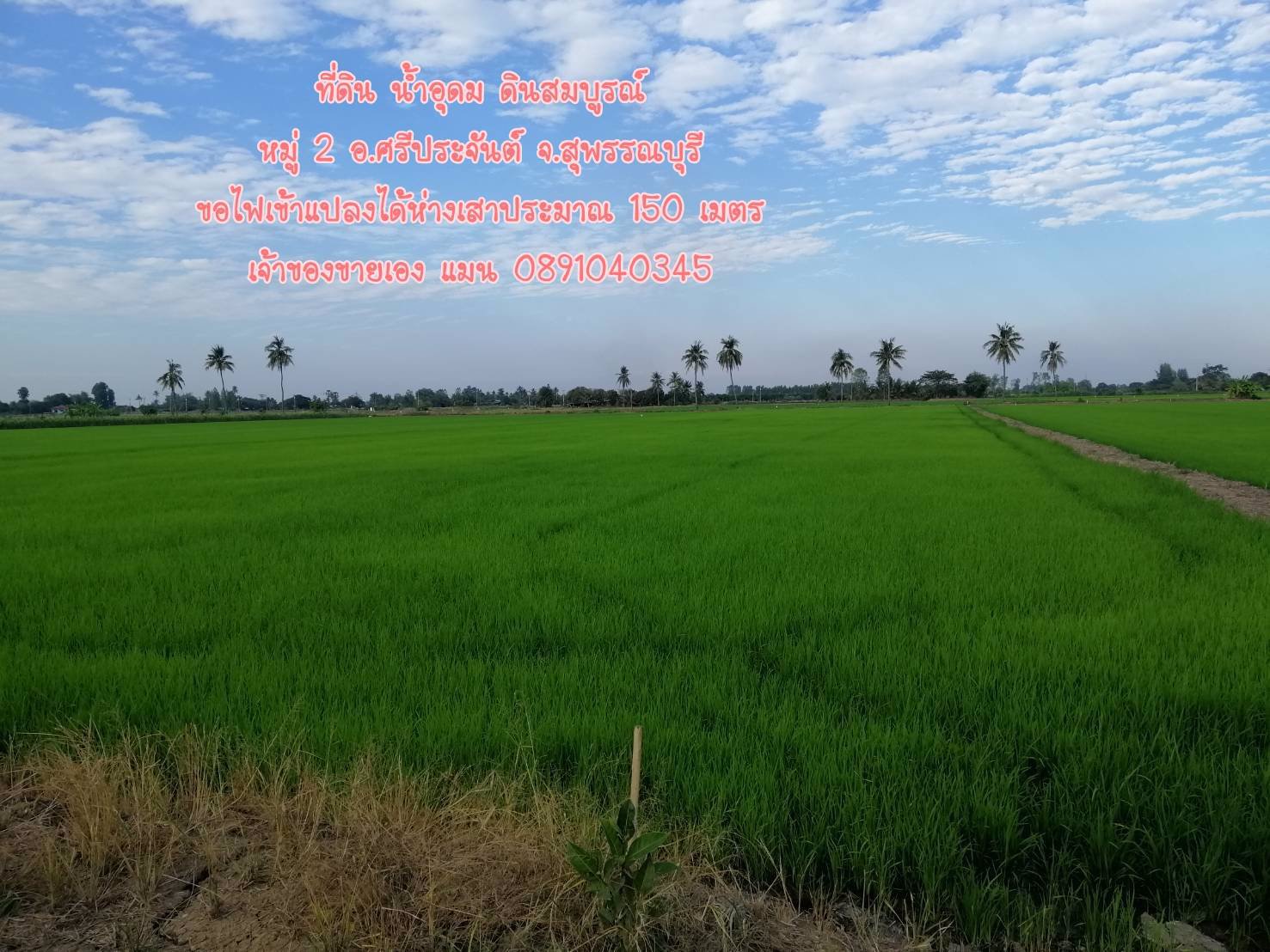 ขายที่ดินราคาถูก-5-ไร่-35-ตรว-ผสมผสานนา-ไร่-สวน-