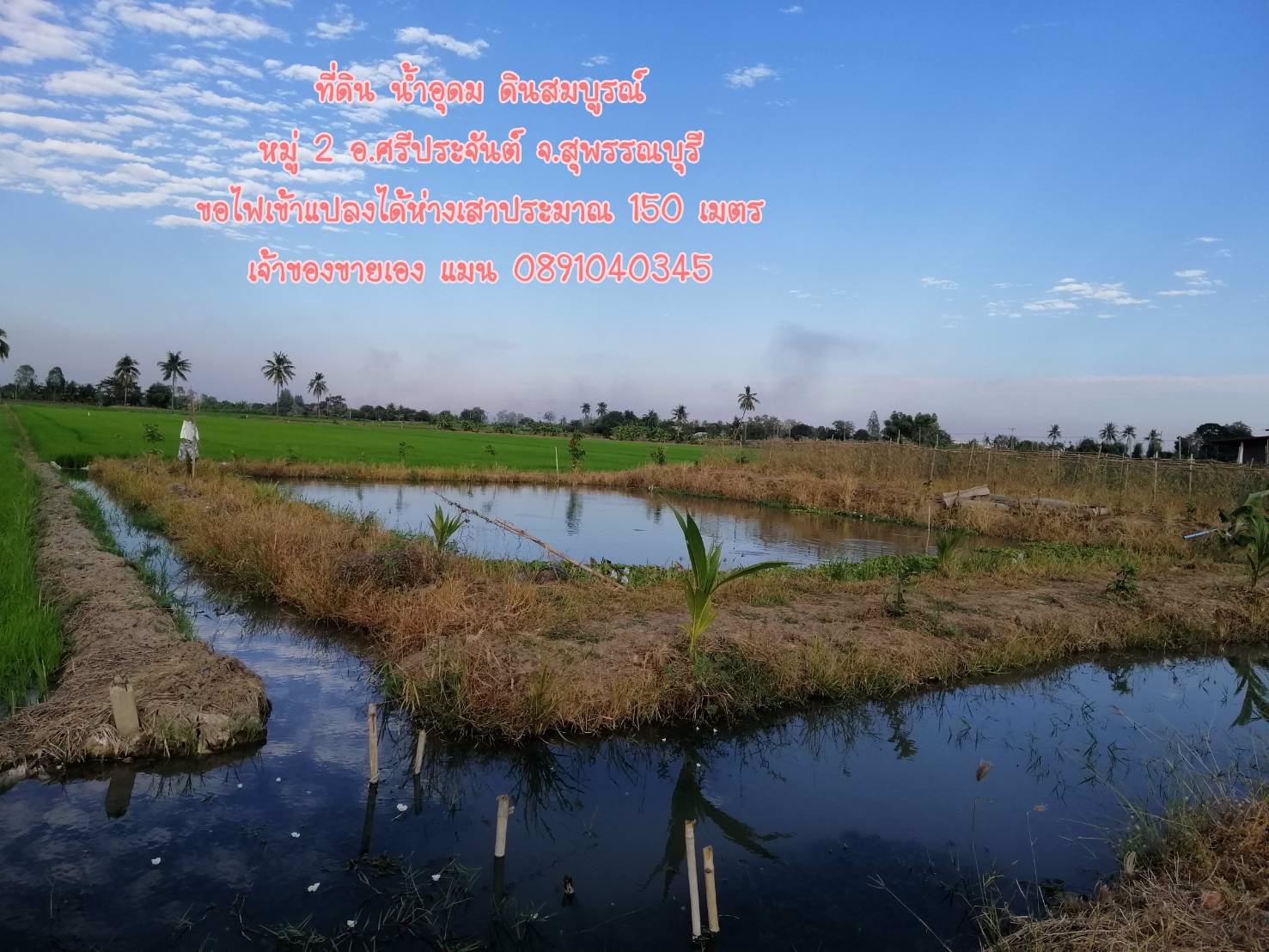 ขายที่ดินราคาถูก-5-ไร่-35-ตรว-ผสมผสานนา-ไร่-สวน-