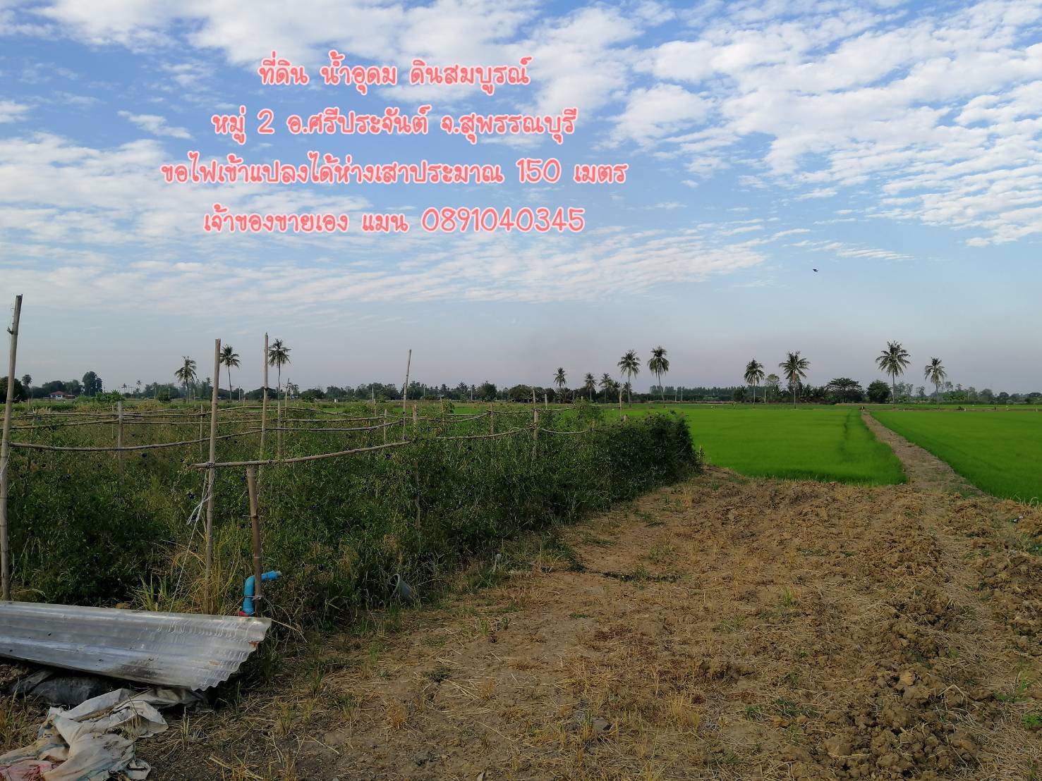 ขายที่ดินราคาถูก-5-ไร่-35-ตรว-ผสมผสานนา-ไร่-สวน-