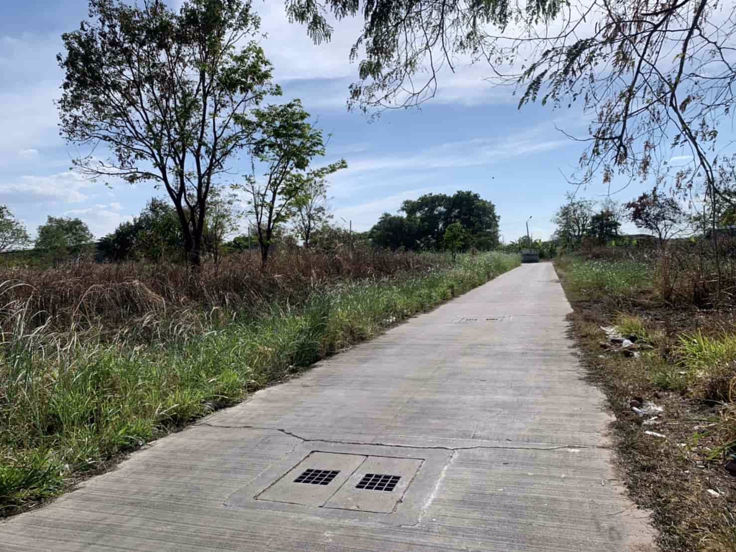 ขายที่ดิน-แถววัดหนองปรือ-อศรีราชา-จชลบุรี-เจ้าของขายเอง-