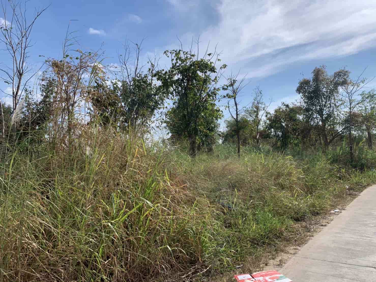 ขายที่ดิน-แถววัดหนองปรือ-อศรีราชา-จชลบุรี-เจ้าของขายเอง-