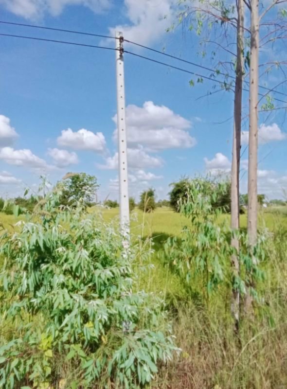 ด่วนลดราคา-ขายที่ดินสวยเหมาะทำโคกหนองนา-อเมือง-จร้อยเอ็ด